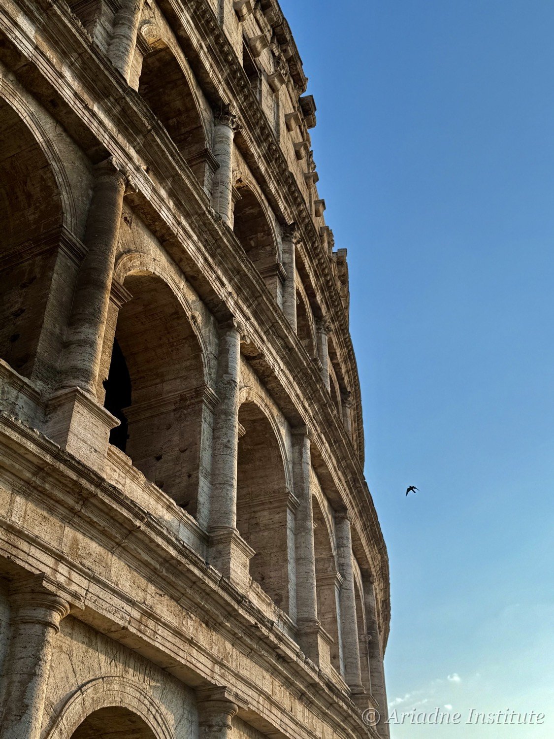 The Colosseum in Rome at golden hour, a bird crossing the sky
